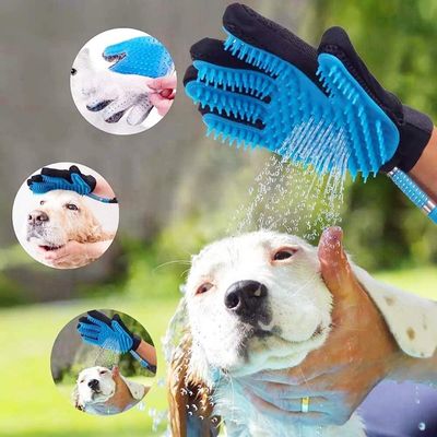 Cane che bagna massaggiando il dispositivo di rimozione dei peli dell'animale domestico della palma per la spazzola governare della doccia dei cani del bagno del cane