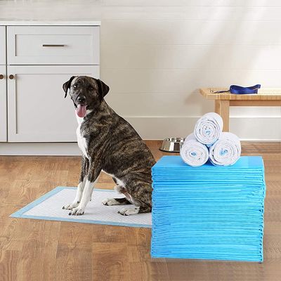 Cuscinetto bagnato pulito sano assorbente eccellente di Cat Training Urine Pee Pads Mat Disposable Dog Diaper Training dei pannolini del cane di animale domestico