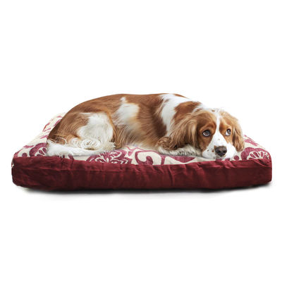 Animale domestico durevole di lusso Mat Large Dog Removable Cover della Camera di cane un'altra stuoia accogliente respirabile del cuscino libero della copertura