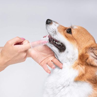 Denti di pulizia dello strumento del cane del silicone della setola che puliscono lo spazzolino da denti orale dell'animale domestico del dito di cura del cane
