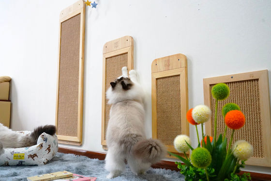 Sisal durevole Cat Scratcher Post Place Floor fissata al muro 40*30cm 30*76cm 40*120cm