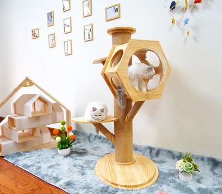 Capsula di legno di Cat Climbing Tower With Space della caverna del letto dell'animale domestico di esagono di lusso