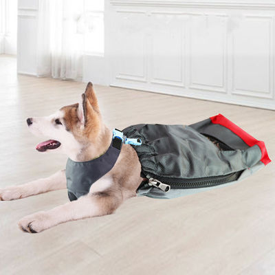 La borsa respirabile di resistenza del cane per la borsa di trasportatore paralizzata degli animali domestici protegge gli arti 100g del petto