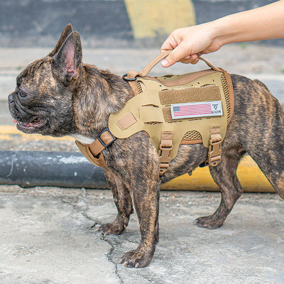 Cinghia pettorale tattica all'aperto di addestramento dell'animale domestico con il guinzaglio materiale del cane di stile della maglia del guinzaglio del cane dell'imbracatura per cani di Hypalon