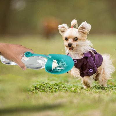 Progettazione portatile all'aperto 580ML della prova della perdita della bottiglia di acqua dell'animale domestico del silicone