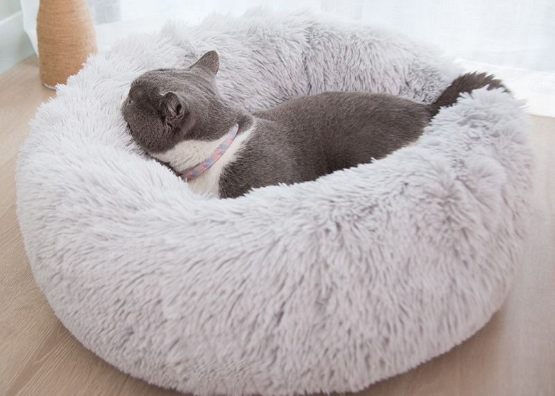 I cani molli dei gatti della ciambella della peluche calda inseriscono il letto calmante del cane della pelliccia del Faux