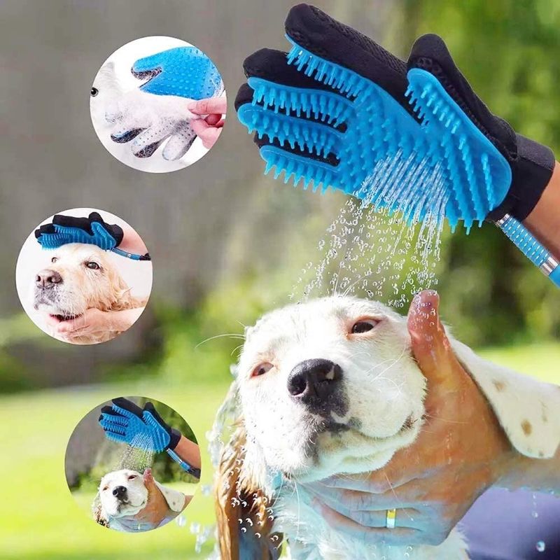 Cane che bagna massaggiando il dispositivo di rimozione dei peli dell'animale domestico della palma per la spazzola governare della doccia dei cani del bagno del cane