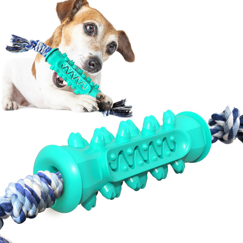 Giocattoli di gomma non tossici di masticazione per i cuccioli mettere i denti 15-30 libbre di cane che migliora igiene dentale