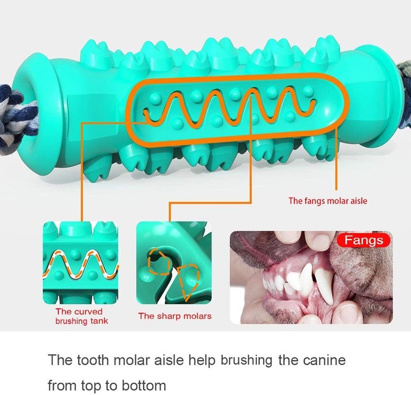 Giocattoli di gomma non tossici di masticazione per i cuccioli mettere i denti 15-30 libbre di cane che migliora igiene dentale