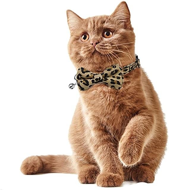 Cravatta a farfalla staccata di Cat Collar Bells With Cute del fermaglio per Kitty Small Dogs Adjustable