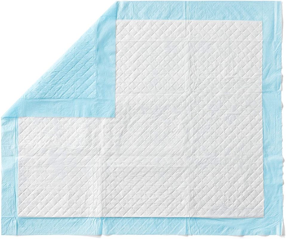 Cuscinetto bagnato pulito sano assorbente eccellente di Cat Training Urine Pee Pads Mat Disposable Dog Diaper Training dei pannolini del cane di animale domestico