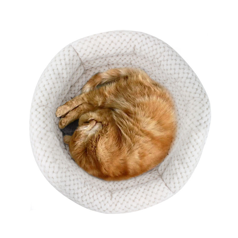 Gli animali domestici all'ingrosso del letto del gatto e del cane di forma della tazza dell'abbraccio 2021 inseriscono con le alte pareti per la Camera lavabile dell'animale domestico di sonno profondo