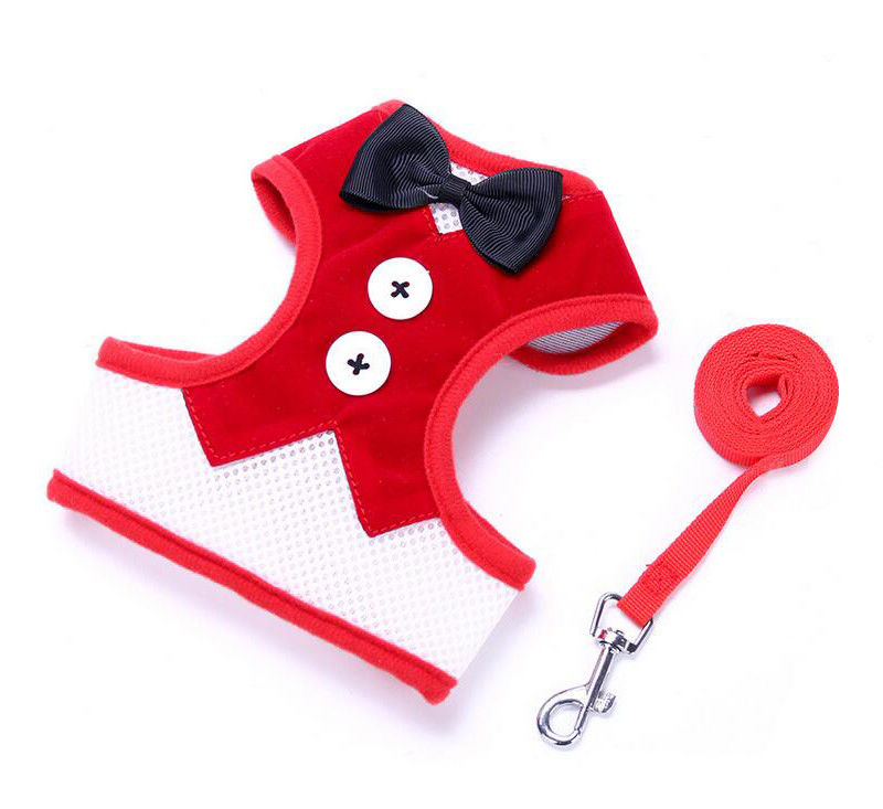 Il cablaggio regolabile del guinzaglio del collare ha messo il collare di cane fatto a mano con la corda la L 35-50cm della maglia della trazione della cravatta a farfalla