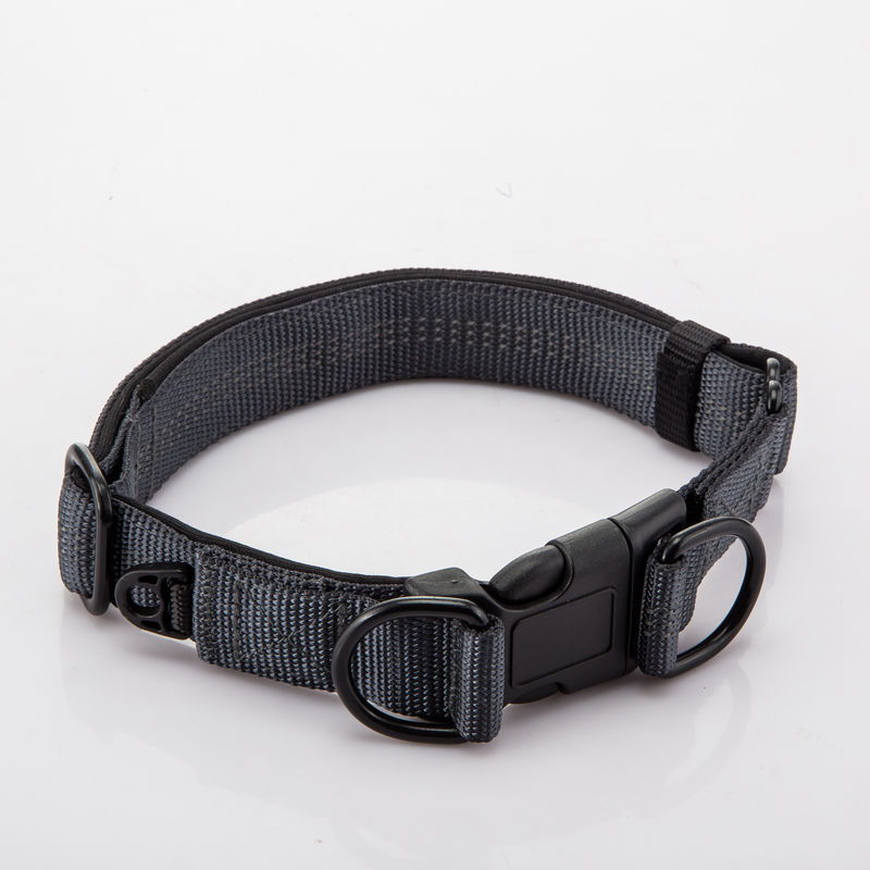 Il doppio regolabile D inarca il collare di cane ed il guinzaglio ha messo il cavo a catena del nylon del cane riflettente
