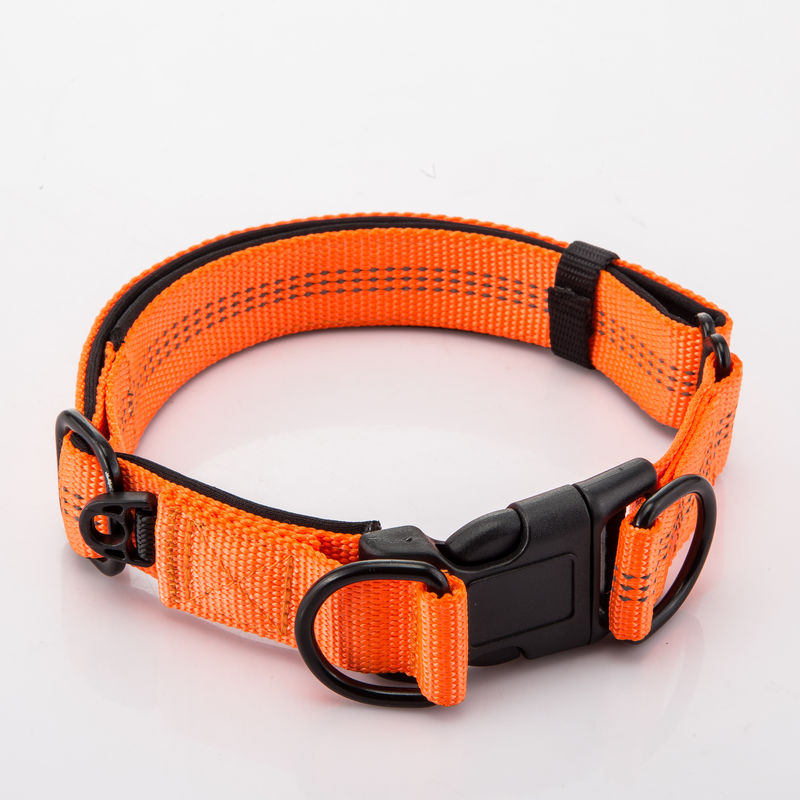 Il doppio regolabile D inarca il collare di cane ed il guinzaglio ha messo il cavo a catena del nylon del cane riflettente