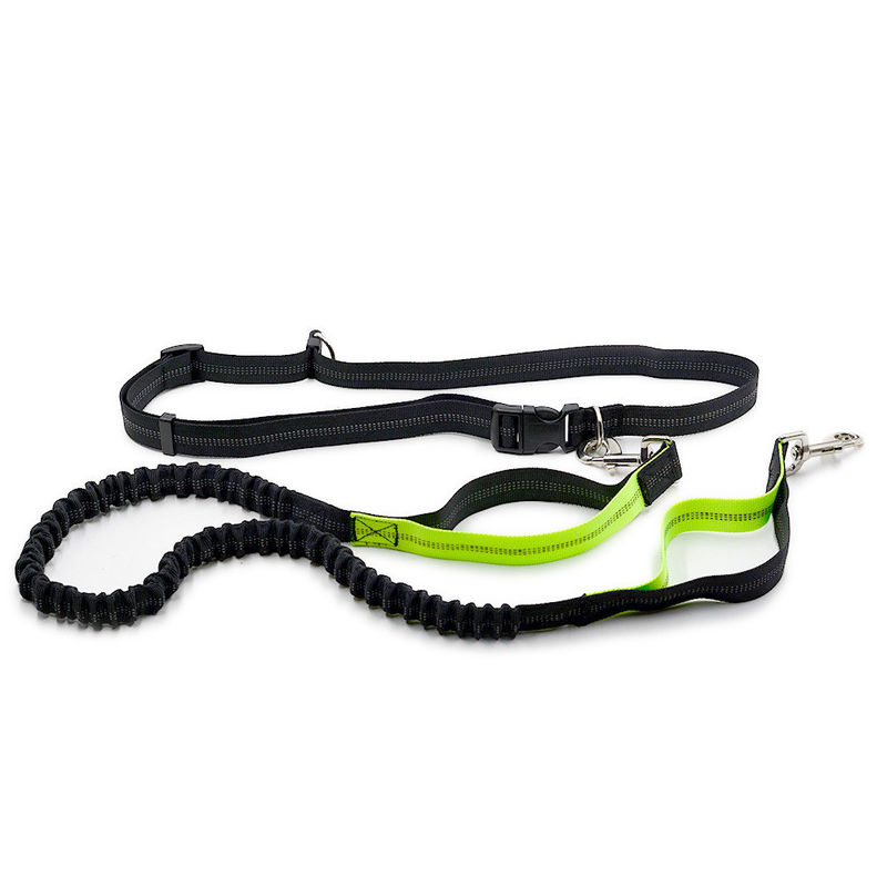 Guinzaglio mani libere del cane della corda dell'imbracatura per cani di vita della cinghia degli ammortizzatori ausiliari elastici doppi riflettenti ritrattabili della maniglia