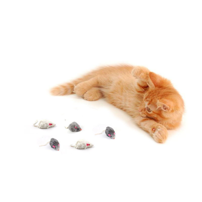 Regalo unico Bicolourable Mini Mouse Cat Toy Set di Halloween con il suono