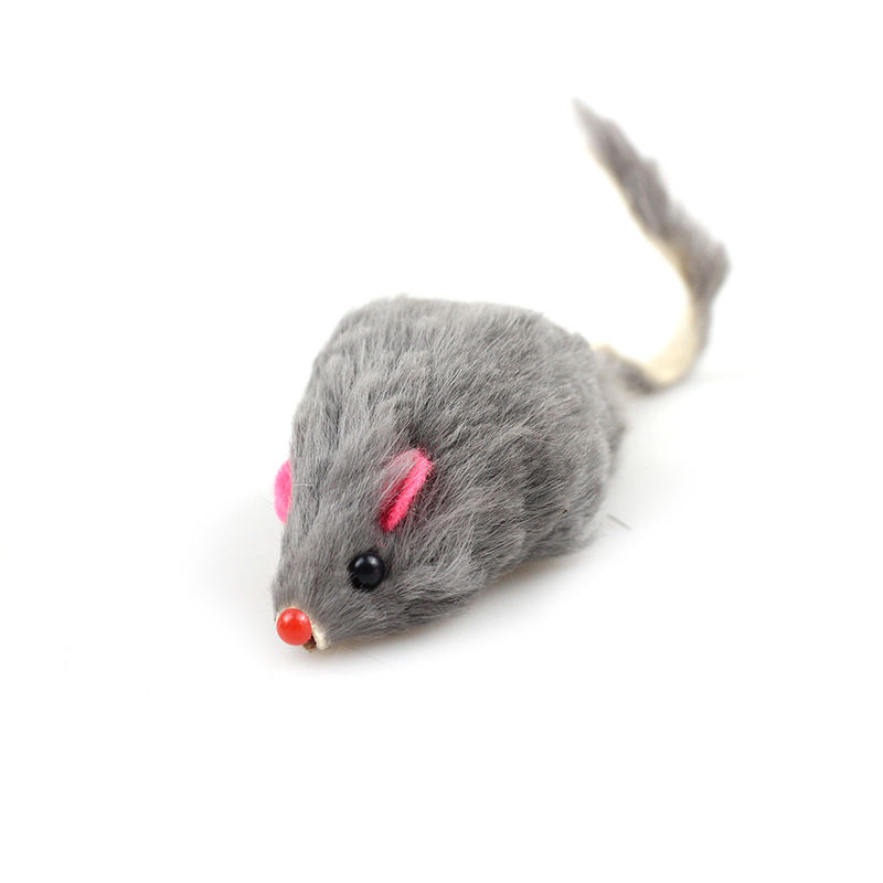 Regalo unico Bicolourable Mini Mouse Cat Toy Set di Halloween con il suono