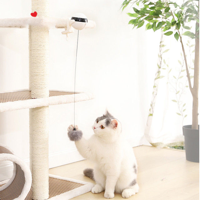 Palla automatica elettronica interattiva Cat Pet Toys Funny Stick Cat Teaser Toy dell'ascensore