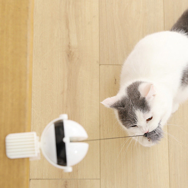 Palla automatica elettronica interattiva Cat Pet Toys Funny Stick Cat Teaser Toy dell'ascensore