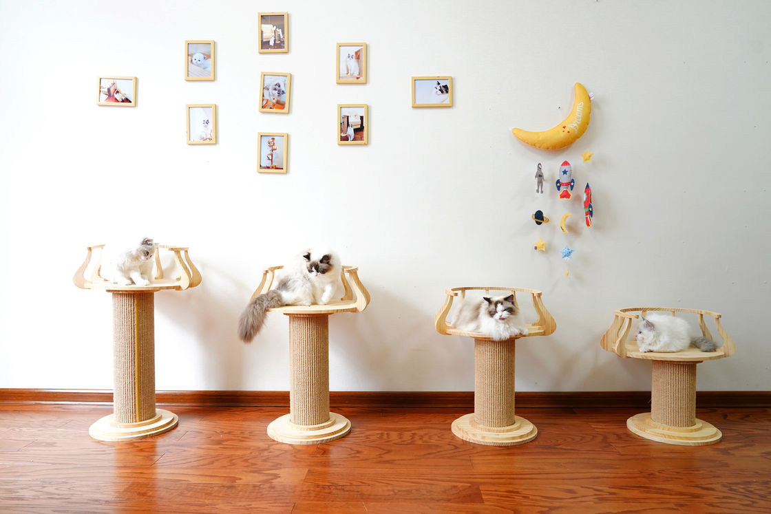 Tabella di legno amichevole L dimensione 72cm m. 62cm della foto di Cat Climbing Tree Tower Cat di scratch di Eco