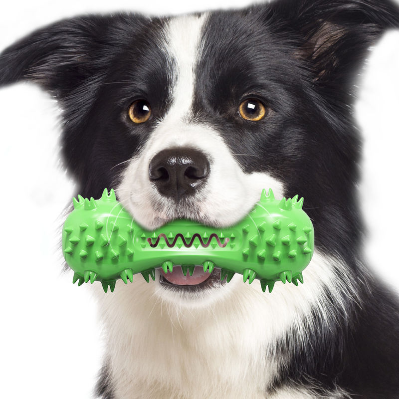 Giocattoli resistenti di gomma naturali non tossici 160g dello spazzolino da denti del cane di giocattoli dell'animale domestico del cane del morso