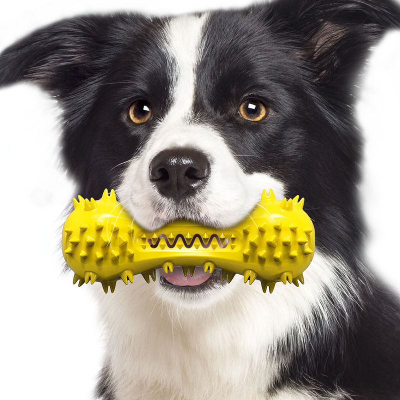 Giocattoli resistenti di gomma naturali non tossici 160g dello spazzolino da denti del cane di giocattoli dell'animale domestico del cane del morso