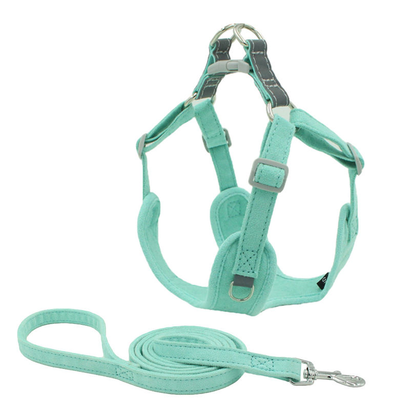 Il cane della pelle scamosciata ed il guinzaglio riflettenti Kit Traction Suit Dog Leash sfruttano il cablaggio protetto contro le esplosioni della maglia dell'insieme del guinzaglio del cane