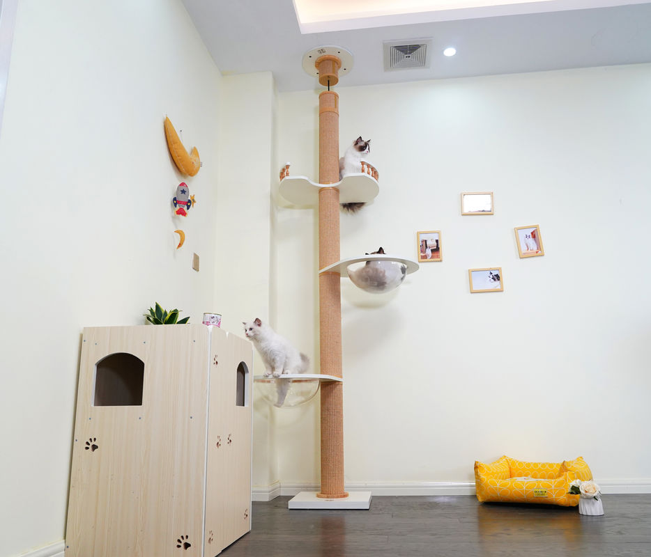 Grande soffitto di legno di Cat Climbing Tree Floor To che gioca Camera 82*40*87cm