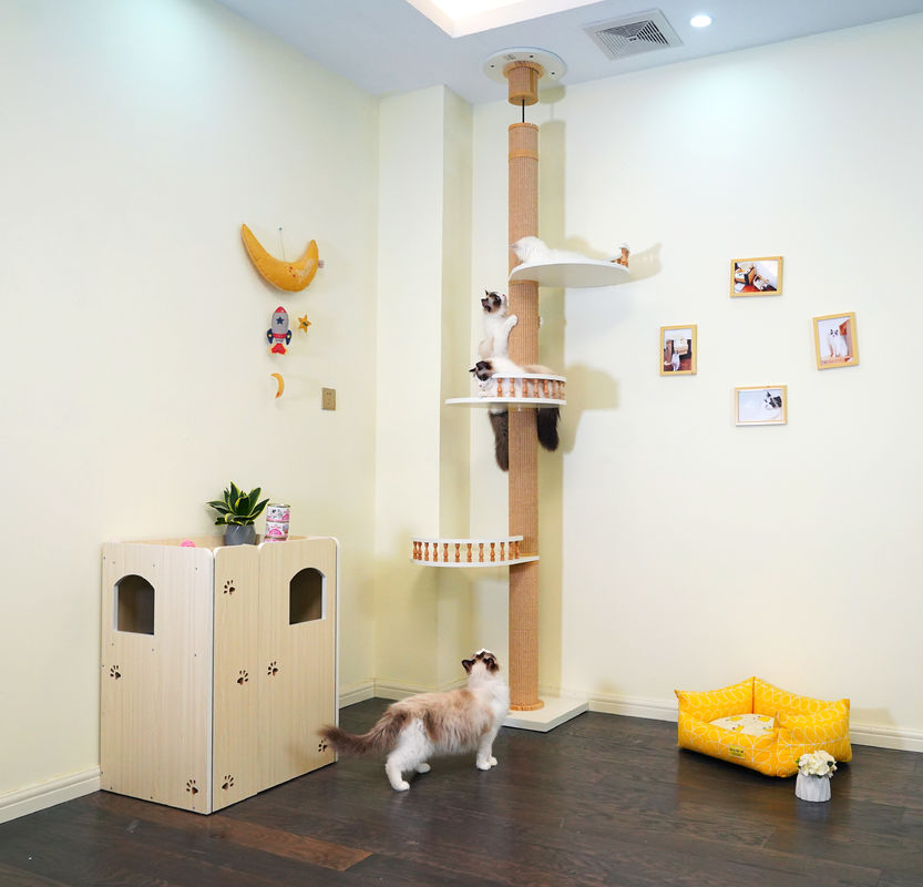 Grande soffitto di legno di Cat Climbing Tree Floor To che gioca Camera 82*40*87cm