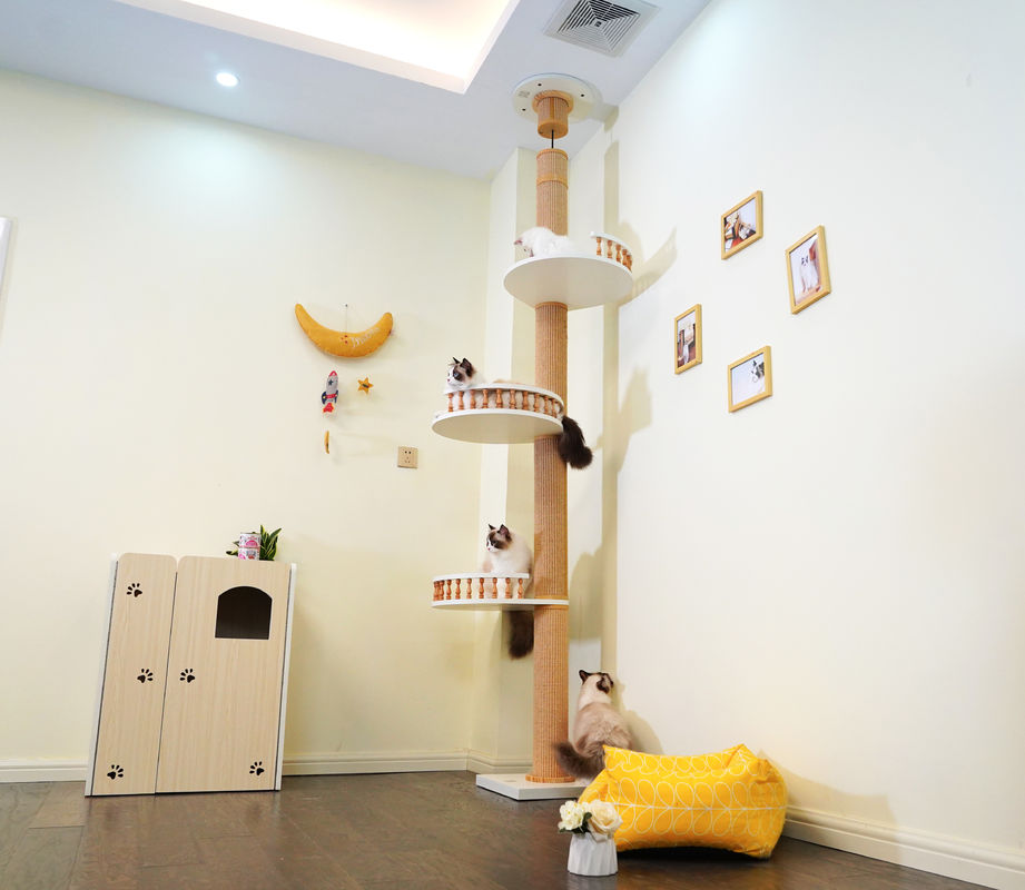 Grande soffitto di legno di Cat Climbing Tree Floor To che gioca Camera 82*40*87cm