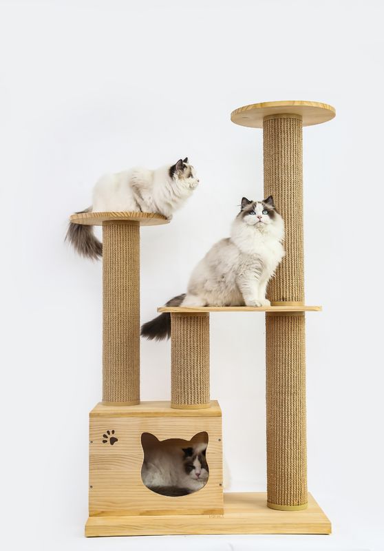Letto di legno di lusso di aumento dell'animale domestico delle scale del ODM &amp; dell'OEM Cat Climbing Tree Furniture Safety