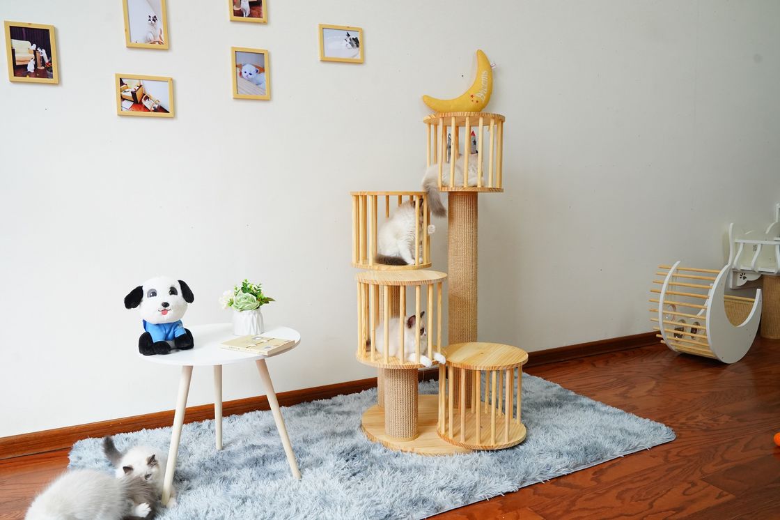 Camera durevole Kitten Cat Climbing Tree Tower Condo con il graffio delle poste