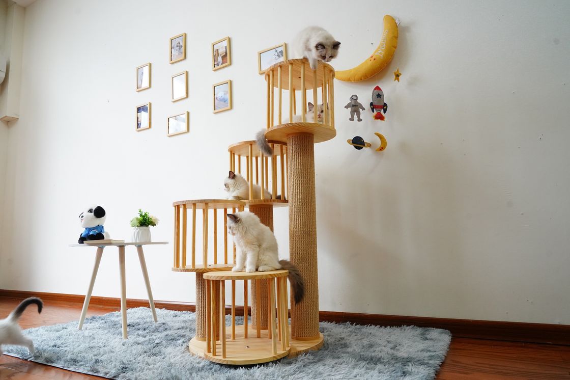 Camera durevole Kitten Cat Climbing Tree Tower Condo con il graffio delle poste