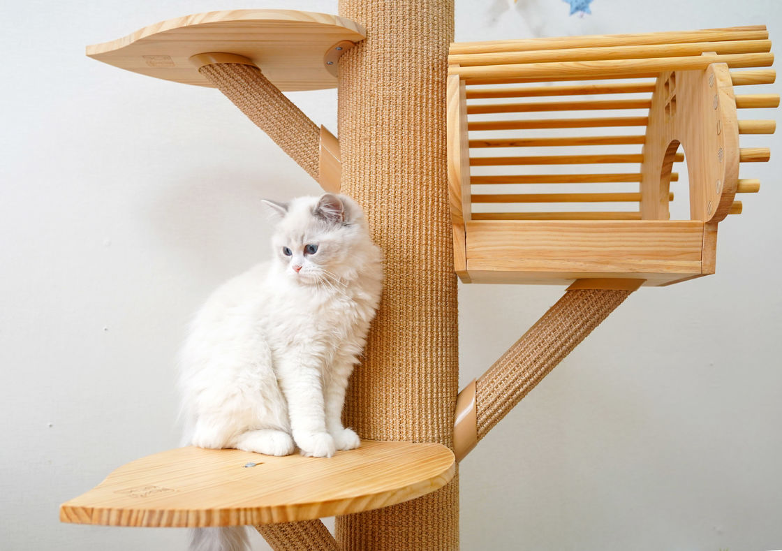 grande Cat Climbing Tree Cat Activity torre di legno solida di 123cm con il graffio delle poste