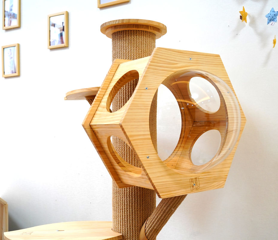 Capsula di legno di Cat Climbing Tower With Space della caverna del letto dell'animale domestico di esagono di lusso