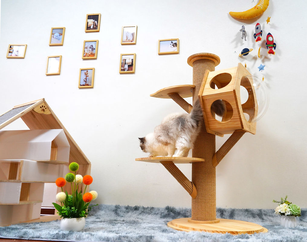 Capsula di legno di Cat Climbing Tower With Space della caverna del letto dell'animale domestico di esagono di lusso