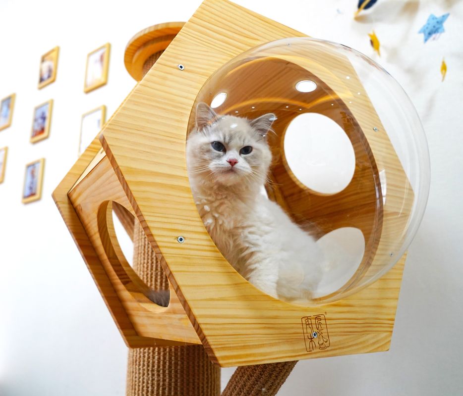 Capsula di legno di Cat Climbing Tower With Space della caverna del letto dell'animale domestico di esagono di lusso