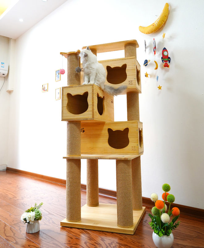 Sicurezza Cat Climbing Tree Tower di lusso