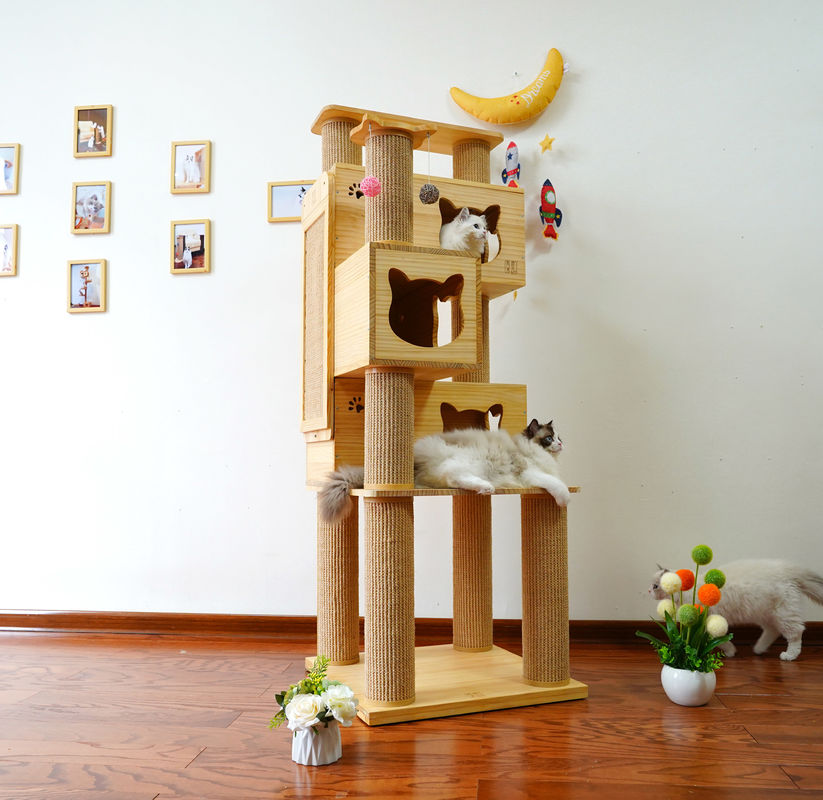 Sicurezza Cat Climbing Tree Tower di lusso