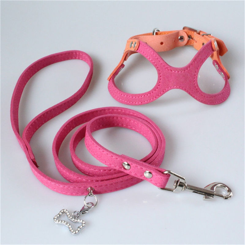 Hallupets Mesh Padded Collar Leash Harness molle ha messo il petto del cane e la trazione posteriore