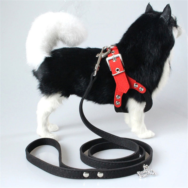Hallupets Mesh Padded Collar Leash Harness molle ha messo il petto del cane e la trazione posteriore