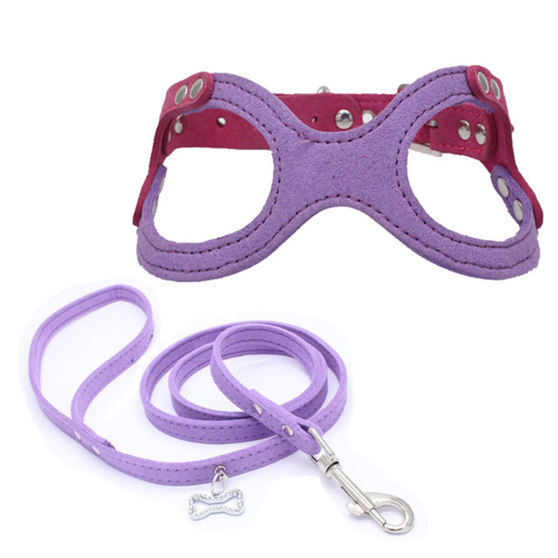Hallupets Mesh Padded Collar Leash Harness molle ha messo il petto del cane e la trazione posteriore