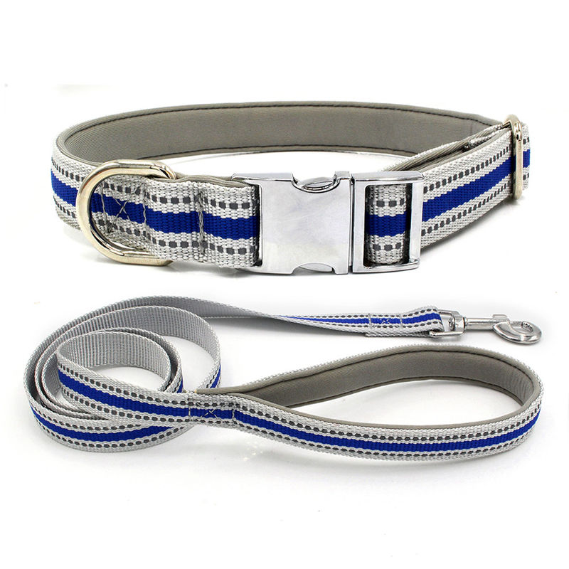 Il cavo ed il collare in lega di zinco comodi del cucciolo del cordone hanno messo il guinzaglio riflettente del cane del nastro