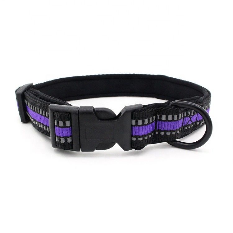 Il neoprene che allinea il guinzaglio del collare di cane ha messo il collare riflettente del fermaglio del rilascio rapido della tessitura con il guinzaglio del cane dell'insieme della fune traente