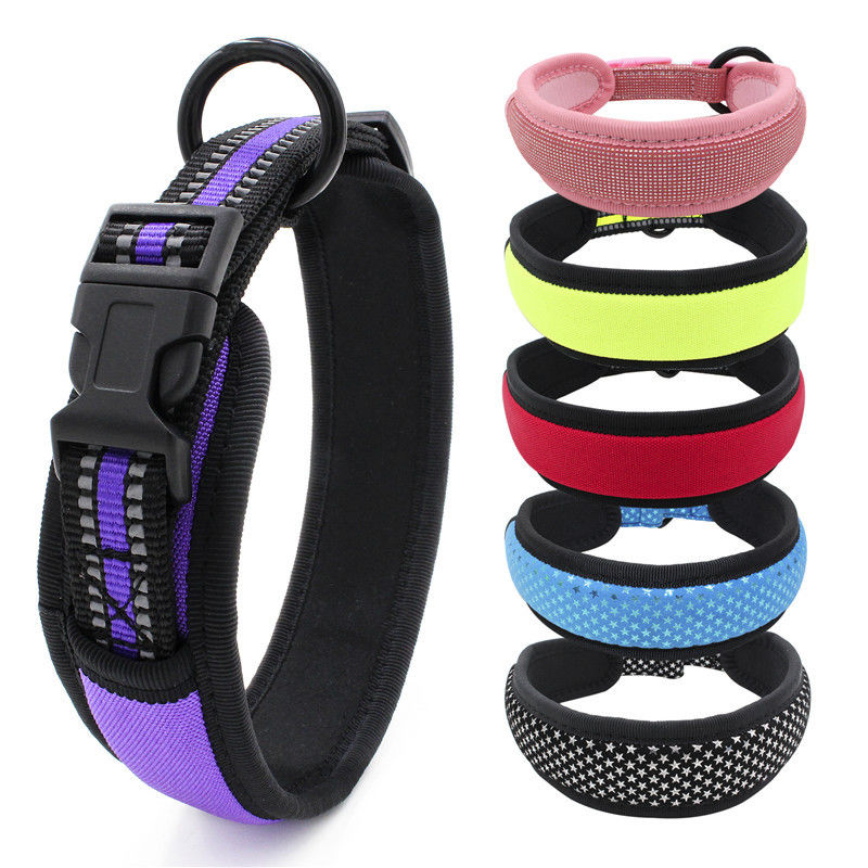 Il neoprene che allinea il guinzaglio del collare di cane ha messo il collare riflettente del fermaglio del rilascio rapido della tessitura con il guinzaglio del cane dell'insieme della fune traente