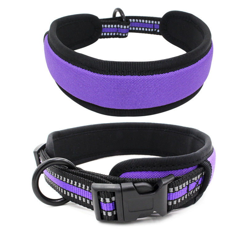 Il neoprene che allinea il guinzaglio del collare di cane ha messo il collare riflettente del fermaglio del rilascio rapido della tessitura con il guinzaglio del cane dell'insieme della fune traente