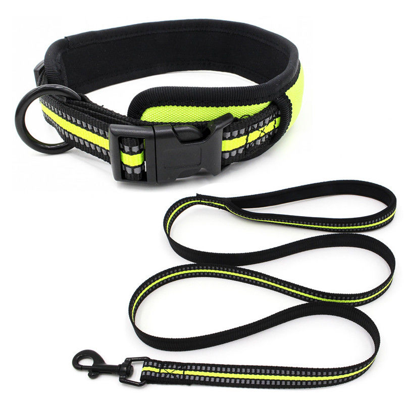 Il neoprene che allinea il guinzaglio del collare di cane ha messo il collare riflettente del fermaglio del rilascio rapido della tessitura con il guinzaglio del cane dell'insieme della fune traente