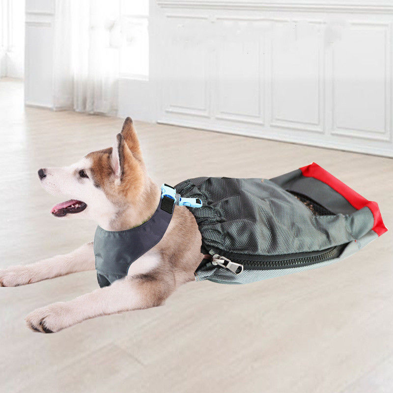 La borsa respirabile di resistenza del cane per la borsa di trasportatore paralizzata degli animali domestici protegge gli arti 100g del petto