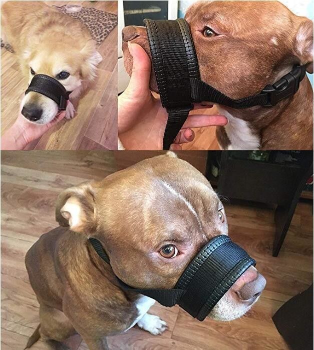 Il cablaggio di nylon del guinzaglio del collare della museruola del cane ha messo morso riempito molle della copertura della bocca del cane l'anti